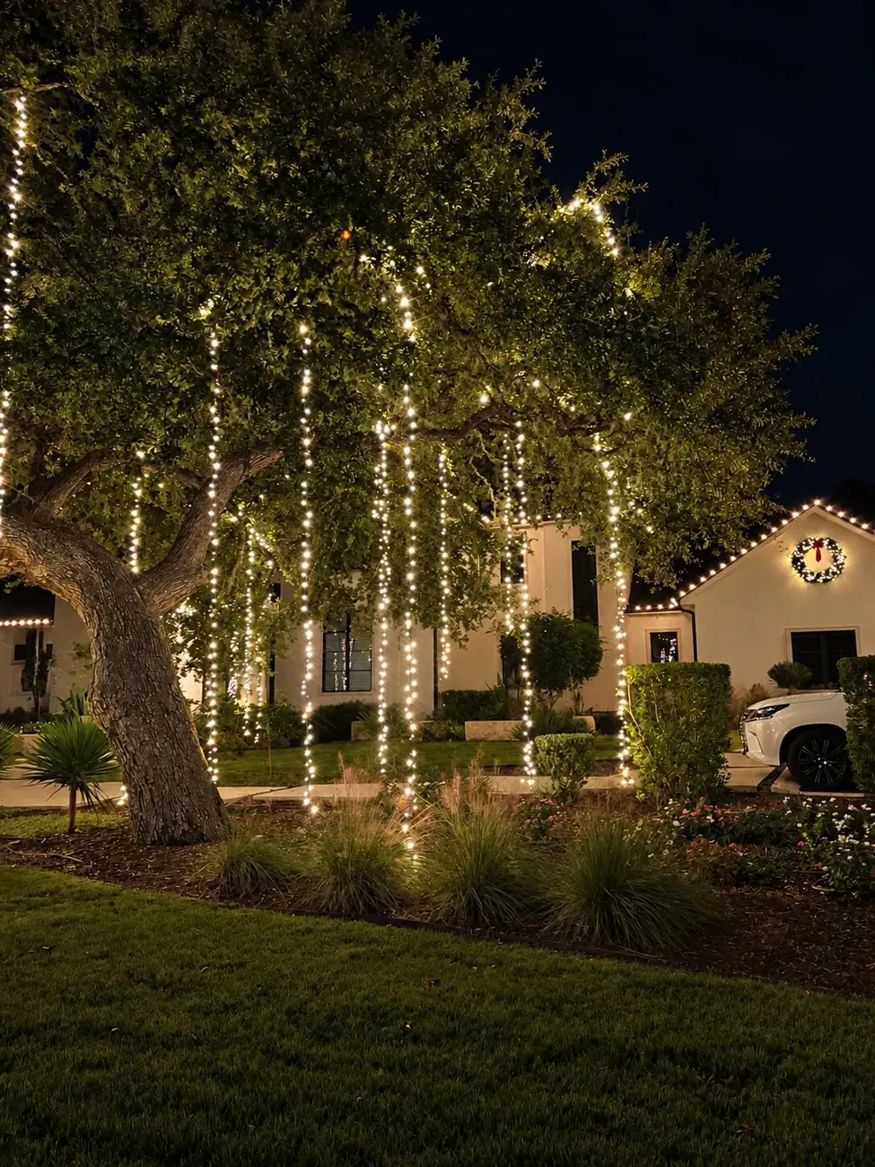 Warm white lights hanging from decorated trees
